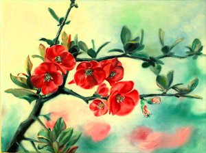 Rode lentebloemen