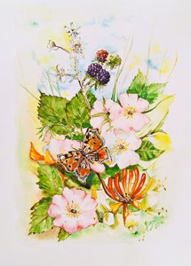 Vlindertuin met wilde bloemen door Anda Bieza