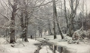 Dooi in een beukenbos door Anders Andersen Lundby