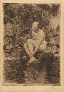  door Anders Leonard Zorn