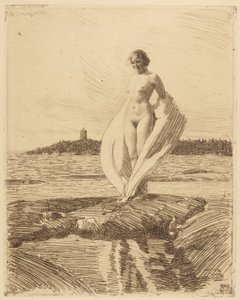 De zwaan door Anders Leonard Zorn