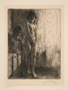 Een donkere hoek door Anders Leonard Zorn