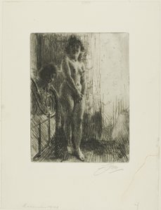 Een Donkere Hoek door Anders Leonard Zorn