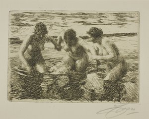 Tegen de stroom in door Anders Leonard Zorn