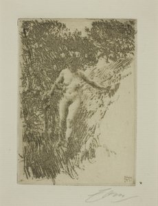 Hakhout door Anders Leonard Zorn