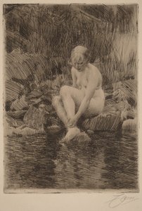  door Anders Zorn