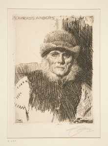  door Anders Zorn