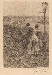 Visser in Saint Ives