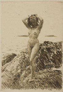 Hårtång (Zeewierkrans) door Anders Zorn