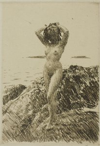 Hårtång (Zeewierkrans)