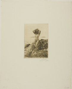 Zeewierkrans