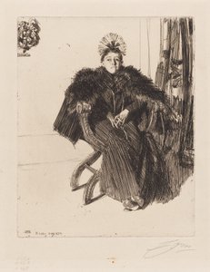  door Anders Zorn