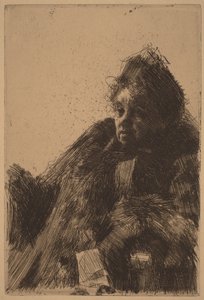  door Anders Zorn