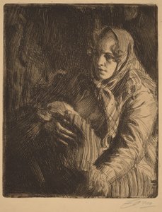  door Anders Zorn