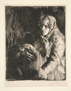  door Anders Zorn