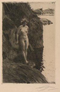 Afgrond door Anders Leonard Zorn