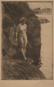  door Anders Zorn