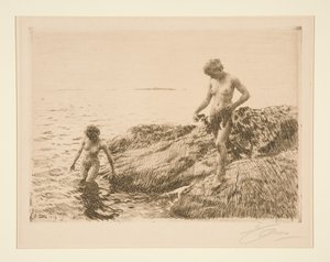  door Anders Zorn