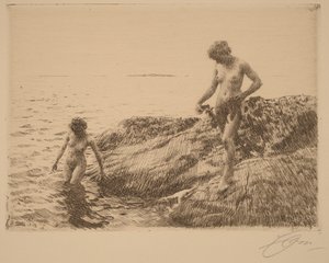  door Anders Zorn