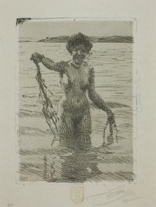 Zeewier