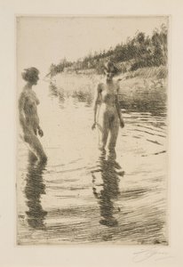  door Anders Zorn