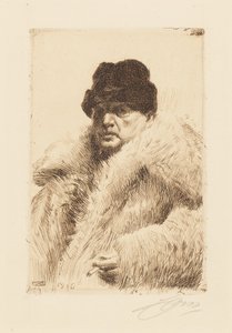 door Anders Zorn