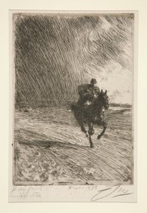 Storm door Anders Leonard Zorn