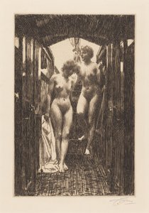  door Anders Zorn