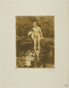 De doorwaadbare plaats door Anders Leonard Zorn