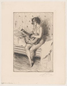  door Anders Zorn