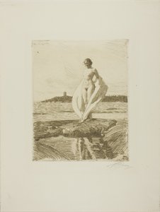 De zwaan door Anders Leonard Zorn