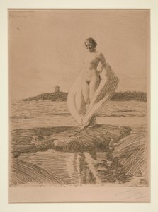 De Zwaan door Anders Leonard Zorn
