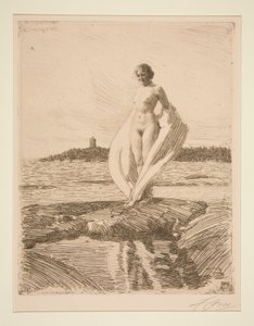 De zwaan door Anders Leonard Zorn
