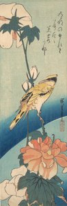 Een zwartnekoriool op een stengel van rozenkaasjeskruid, ca. 1834 door Ando Hiroshige