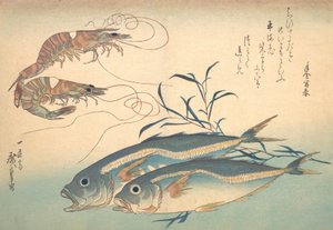 Aji-vis en Kuruma-ebi, uit de serie Uozukushi Elke soort vis