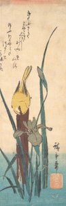 Vogel en Iris door Ando Hiroshige