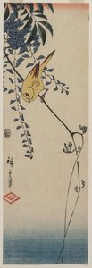 Kanarie en Wisteria, midden 1840s door Ando Hiroshige