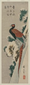 Koperfazant bij Sneeuwachtige Waterval, laat 1830s of begin 1840s door Ando Hiroshige