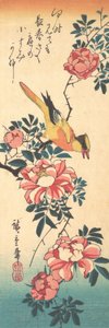 Oostelijke Grijze Kwikstaart en Roos, vroege jaren 1830 door Ando Hiroshige