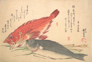 Isaki en Kasago Vis, uit de serie Uozukushi Elke Soort Vis door Ando Hiroshige