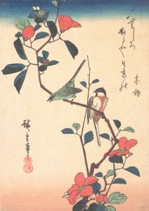 Japanse wit-oog en mees op een cameliatak door Ando Hiroshige