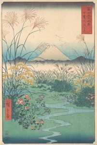 Kai, Otsuki no Hara, 4e maand paardenjaar 1858