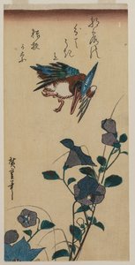 IJsvogel en Chinese Klokbloemen door Ando Hiroshige