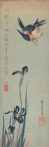 IJsvogel en irissen door Ando Hiroshige