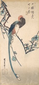 Langstaartvogel door Ando Hiroshige