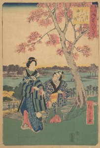 Plum-bloesem bekijken in de derde maand bij de Sumida-rivier uit de serie Jaarlijkse evenementen bij F..., 1854 door Ando Hiroshige
