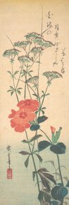 Prachtige anjers en Chinese agrimonie, ca. 1836 door Ando Hiroshige