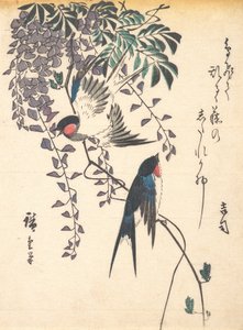 Zwaluw en Wisteria, midden jaren 1840 door Ando Hiroshige