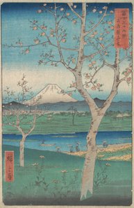 Uitzicht op de berg Fuji vanuit Koshigaya, provincie Musashi, 4e maand, paardenjaar 1858