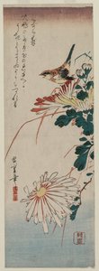 Zanger en chrysanten, midden 1830s door Ando Hiroshige